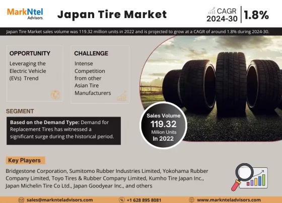 Japan Tire Market