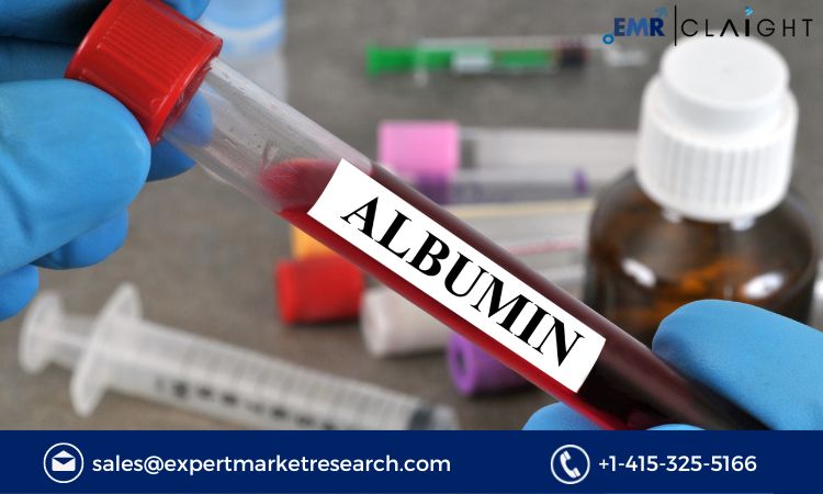 The Albumin Market: Trends, Growth Factors, and Future Outlook