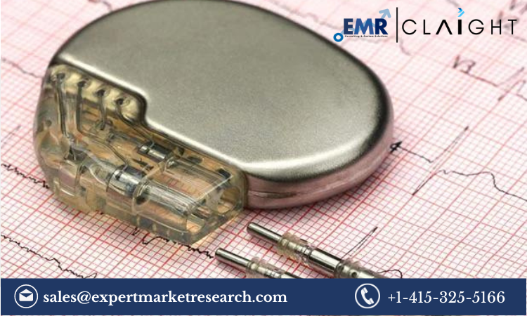 Navigating the Dynamic Landscape of the Cardiac Holter Monitor Market (2024-2032)