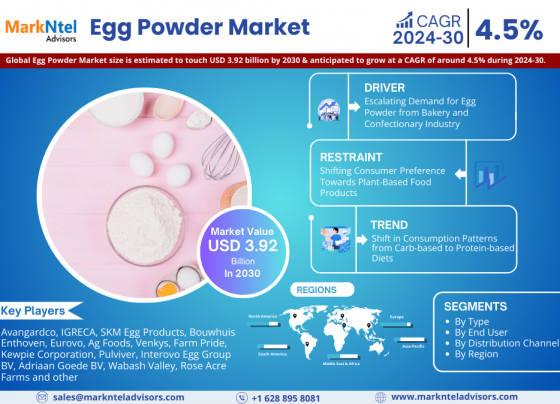 Egg Powder Market