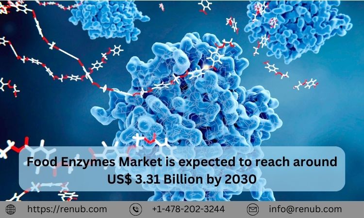 Food Enzymes Market, Size, Share, Growth, Keyplayers ⅼ Forecast (2024 – 2030) ⅼ Renub Research