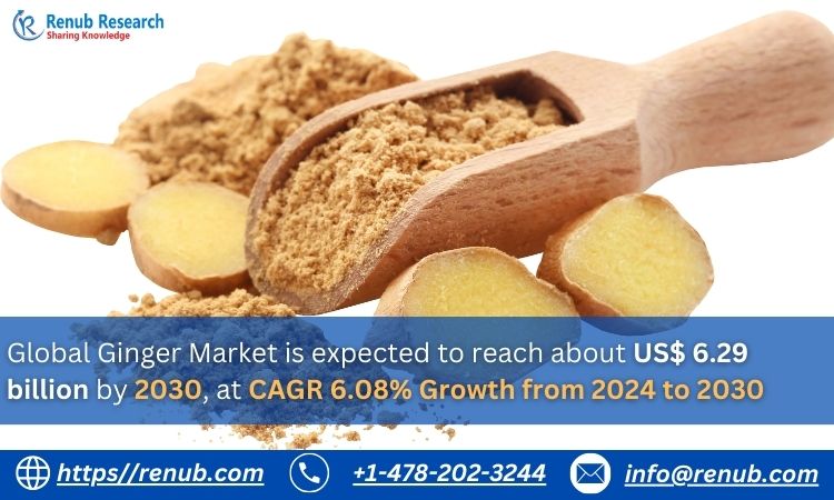 Global Ginger Market, Size, Forecast Report 2024-2030