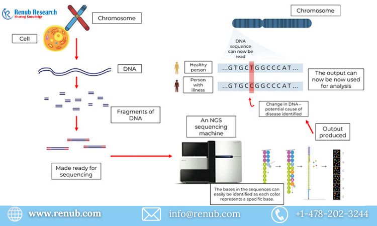 Next-Generation Sequencing (NGS) Market: Global Forecast 2024-2030 – Trends, Growth, Impact of Inflation, Opportunities, and Company Analysis