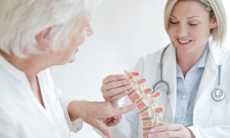 Global osteoporosis drug market Industry Trends, Share, Size, Growth, Opportunity, and Forecast 2023-2030 ⅼ Renub Research