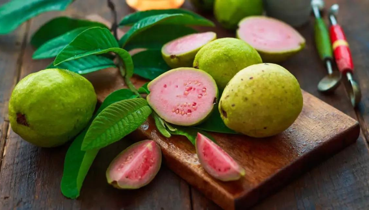 8 Health Benefits of Guava Fruit and Leaves