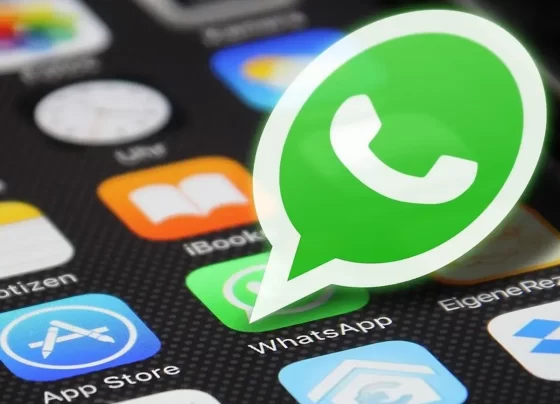 The New WhatsApp Terms: Changes and Consequences