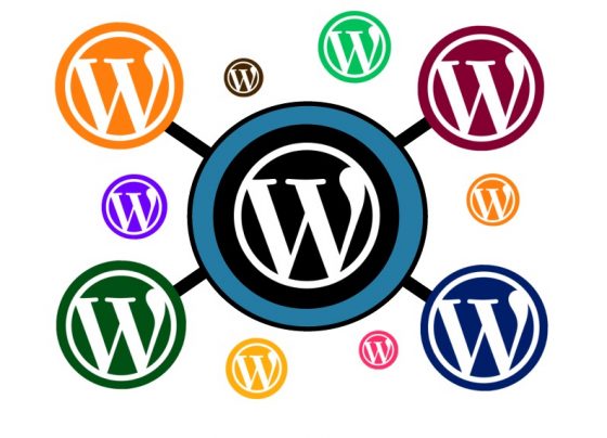 An image of WordPress Training in Lahore