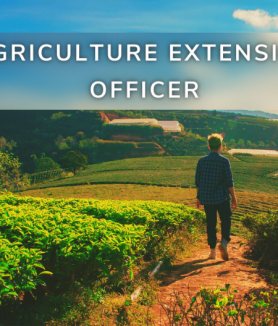 agriculture extension officer