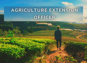 agriculture extension officer