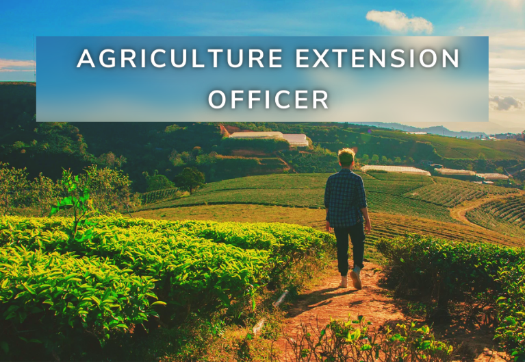Agriculture Extension Officer Meets AI: Advancing Sustainable Farming in the US
