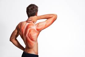 Top 10 Home Remedies for Muscle Pain Relief