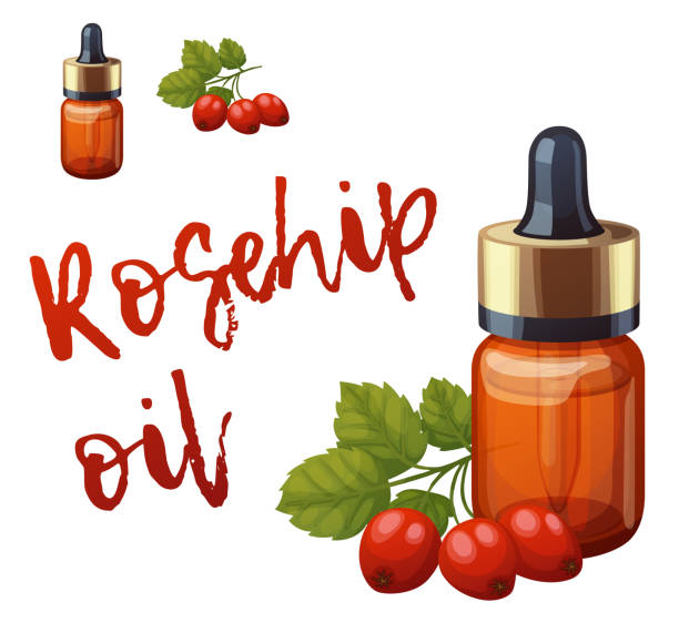 Beauty in a Bottle – How Rosehip Oil Transforms Your Skin Naturally