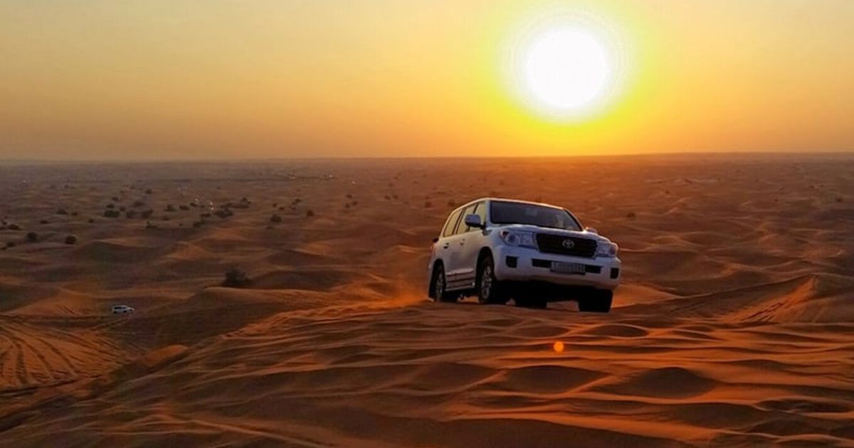 What might be the Reasons to Explore Morning Desert Safari?