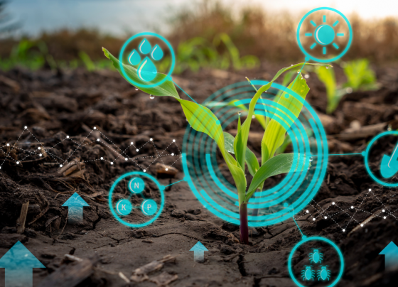 Unlocking the Future of Farming: AI Applications in Precision Agriculture for Crop Yield Prediction