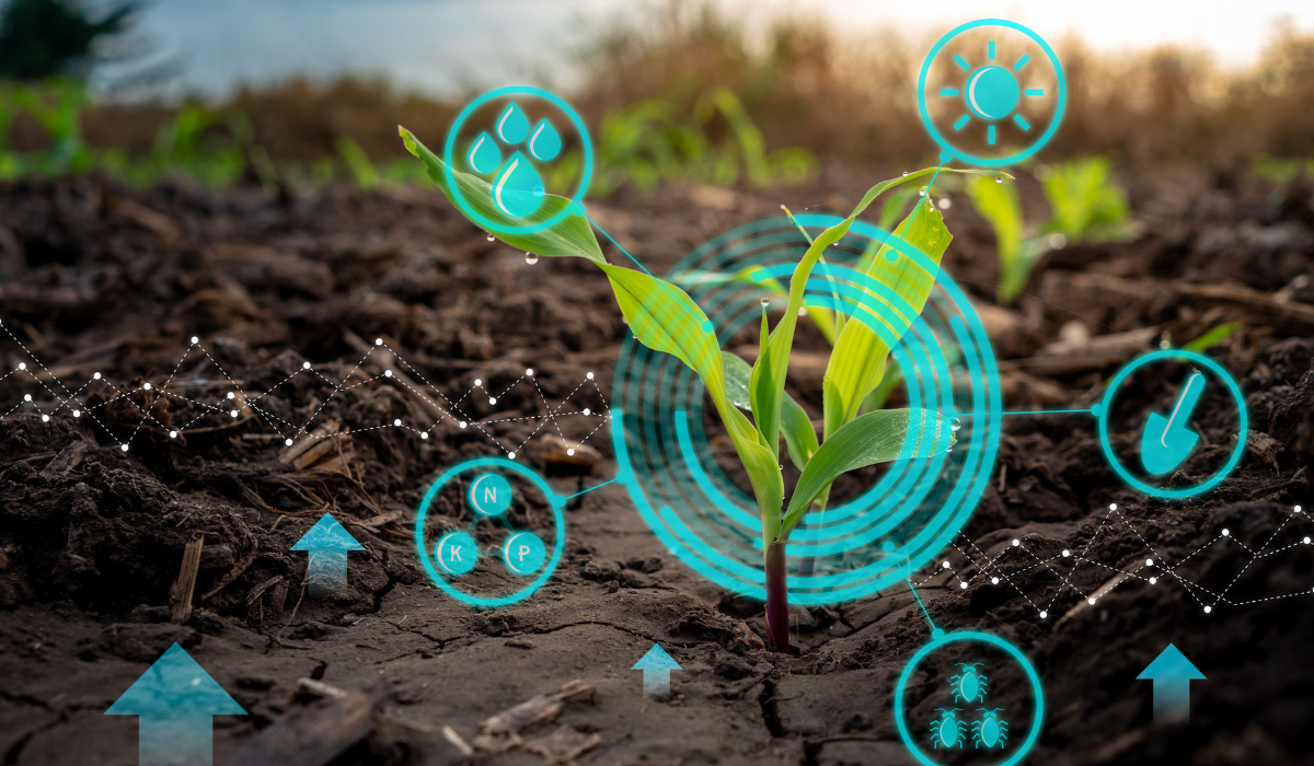 Unlocking the Future of Farming: AI Applications in Precision Agriculture for Crop Yield Prediction