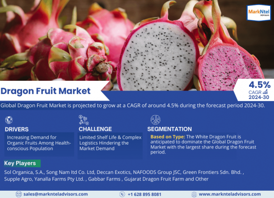 Dragon Fruit Market