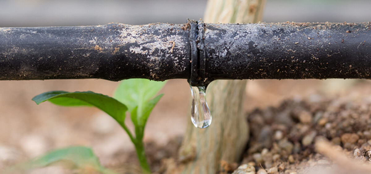Drip Irrigation Market, Size, Global Forecast 2023-2028, Industry Trends, Growth, Share, Outlook, Impact of Inflation, Opportunity Company Analysis