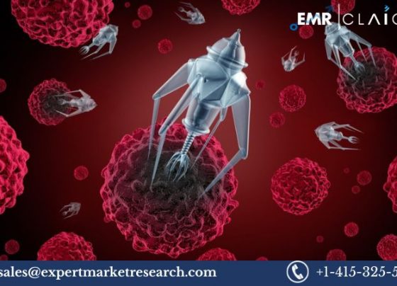 Nanomedicine Market