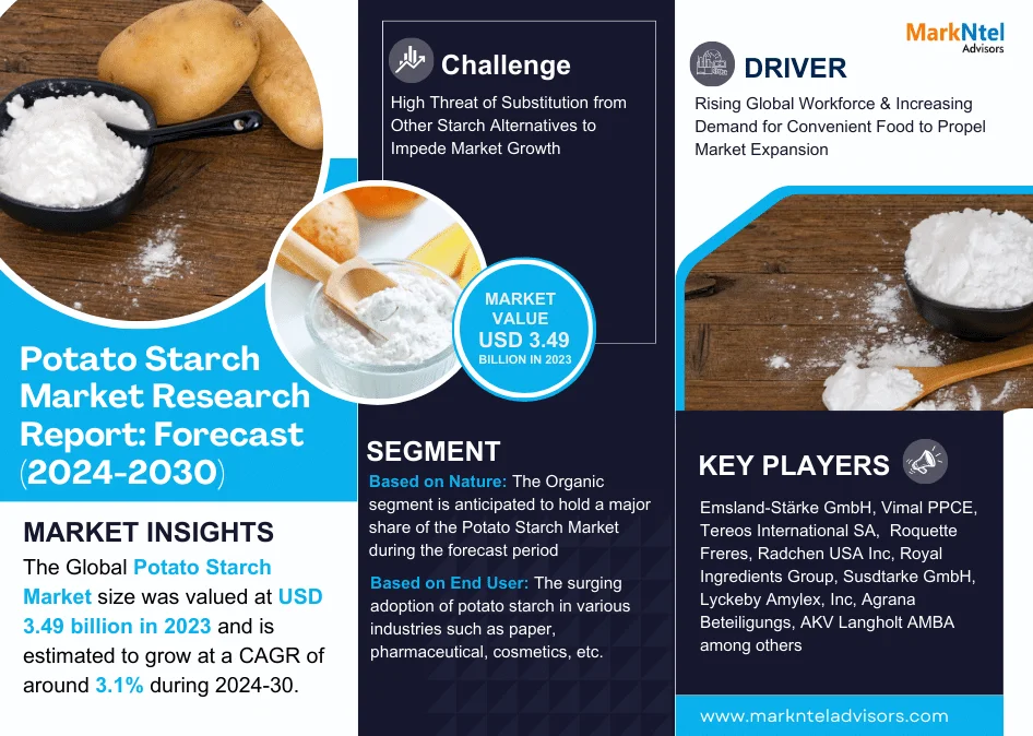 Potato Starch Market: 3.1% CAGR Expected During 2024-30 Forecast Period