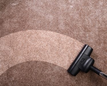 Professional Carpet Cleaning in Valley AZ