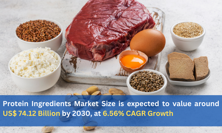 Protein Ingredients Market Report Share and Growth 2024-2030