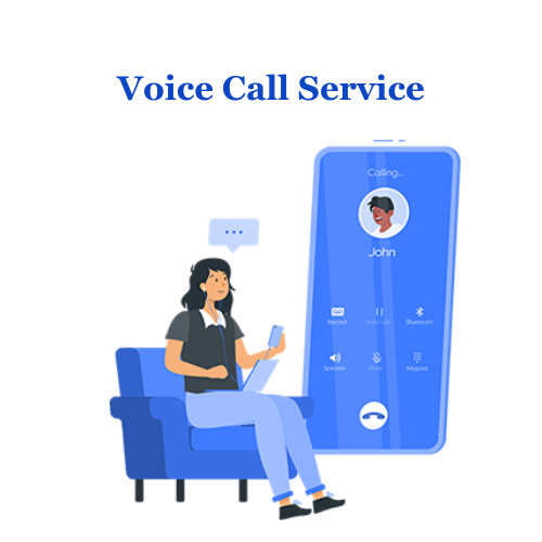 Exploring the Features of Bulk Voice Call Services