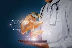 Pharmacovigilance and Drug Safety Software Market Size, Share, Report and Forecast 2024-2032