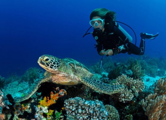 Diving in Mallorca