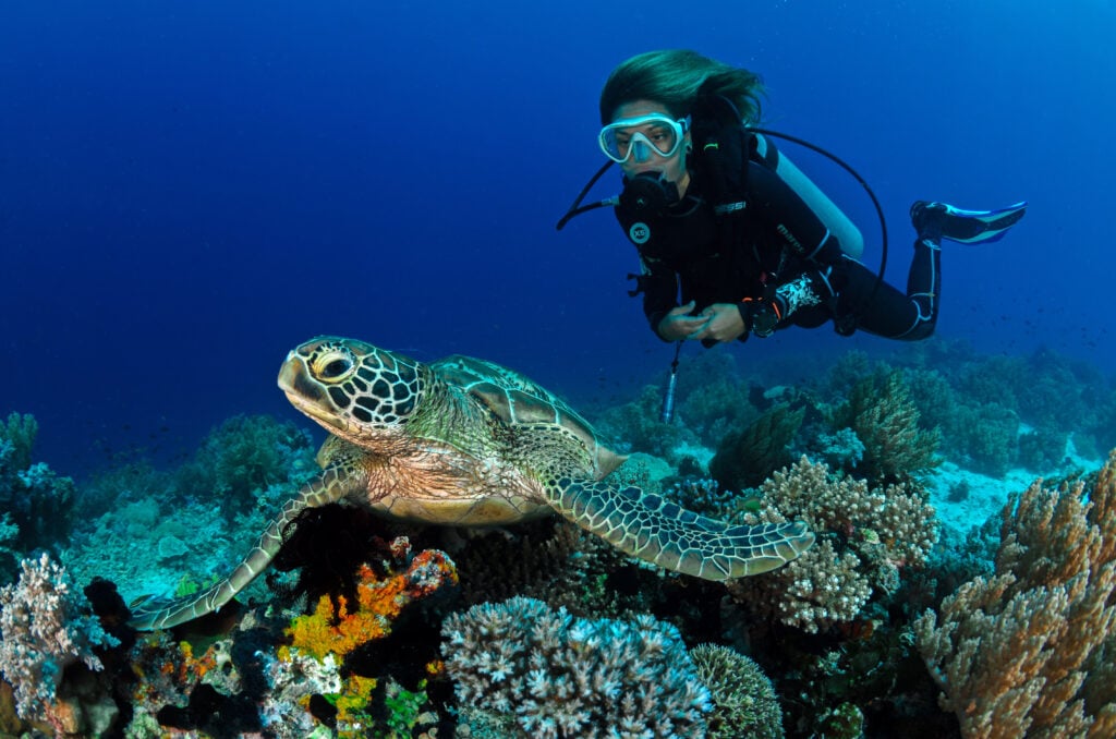 Unveiling the Aquatic Treasures: Diving in Mallorca with Petro Divers