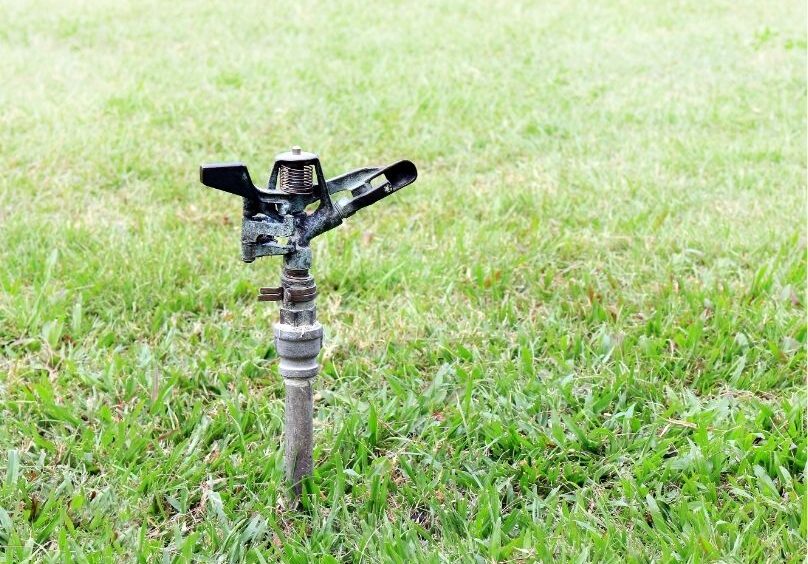 Green Garden with Sprinkler