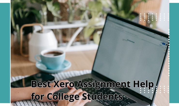 Best Xero Assignment Help for College Students