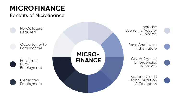 Microfinance loans What it is, Types, and Examples