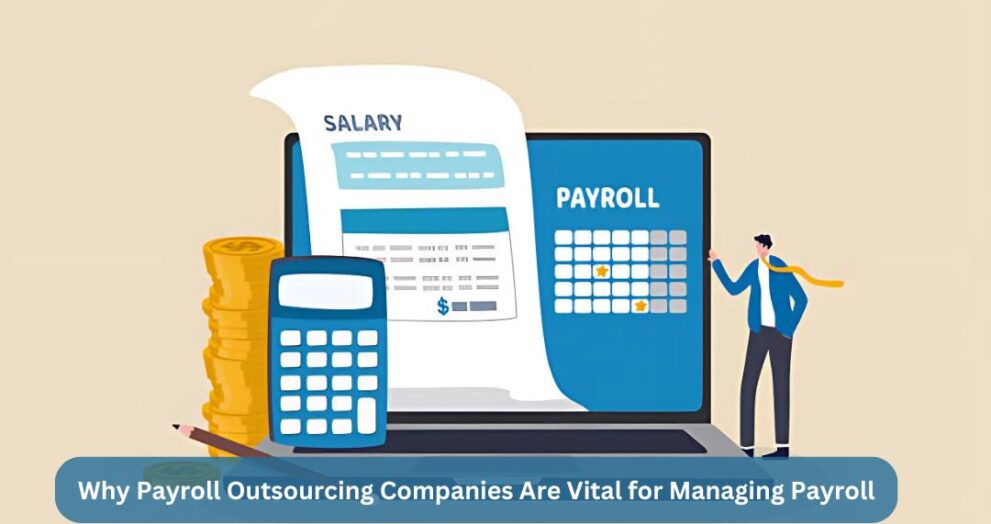 Why-Payroll-Outsourcing-Companies-Are-Vital-for-Managing-Payroll