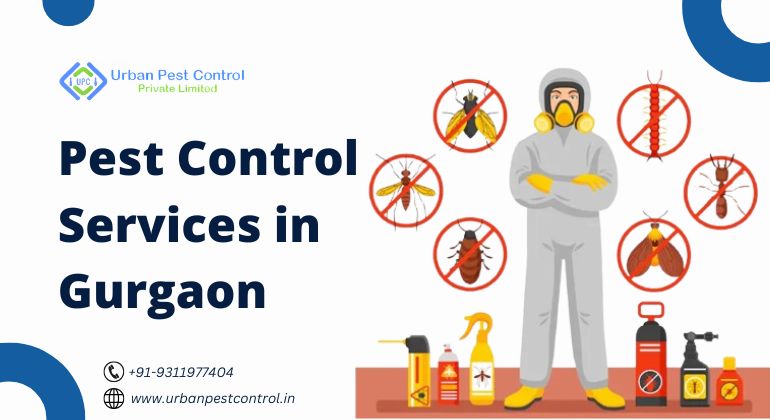 Pest Control Services in Gurgaon