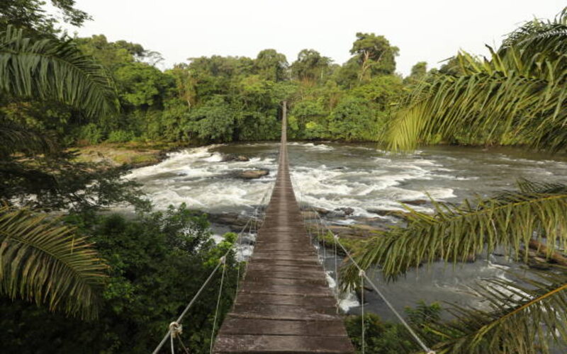 Cultural Wonders of Cameroon