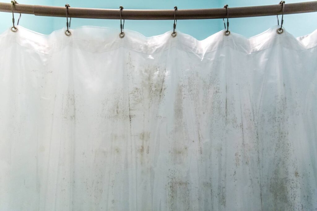 How To Remove Mold From Shower Curtain