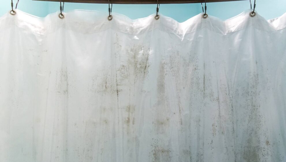 How To Remove Mold From Shower Curtain