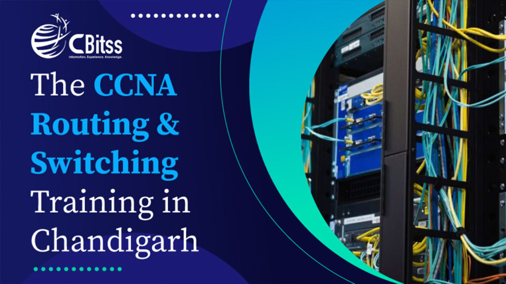 Top-Rated CCNA Courses for Networking Professionals