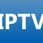 Precision and Reliability in Every Translated Document