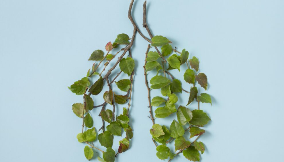 ayurveda treatment for bronchitis
