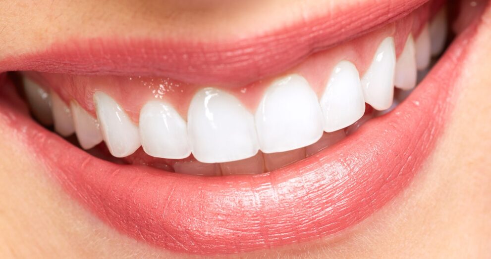 ortho dental clinic