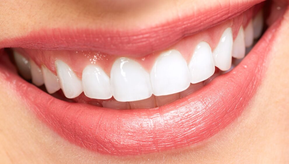 ortho dental clinic