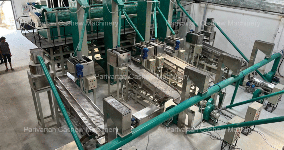Boosting Efficiency with an Automatic Cashew Cutting Machine
