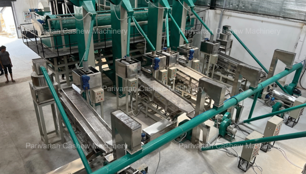Boosting Efficiency with an Automatic Cashew Cutting Machine