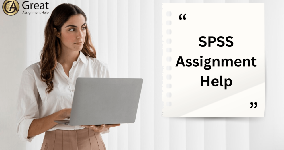 SPSS Assignment Help