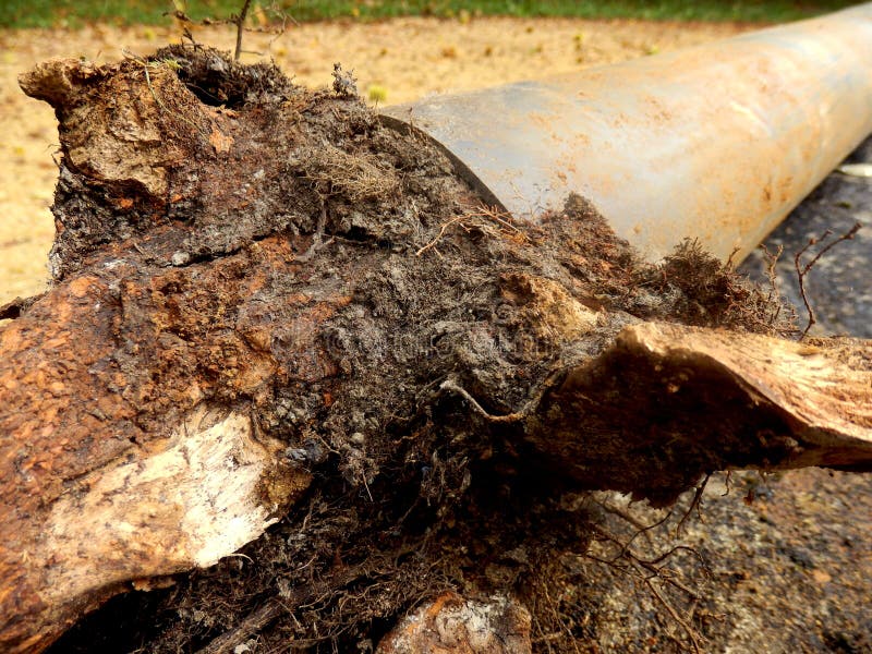 Soil Pipe Blocked Again? Here’s How to Solve It for Good
