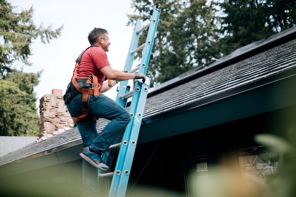 flat roofs Teddington