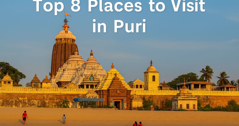 Top 8 Places to Visit in Puri