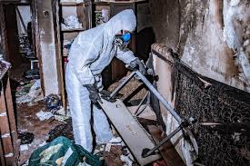 fire damage removal
