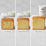 Enterprise Application Development Company